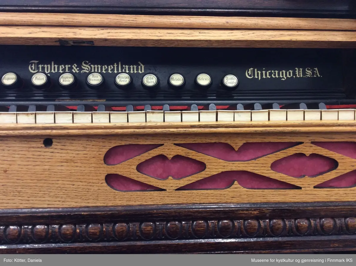 Orgelet består av et enkelt klaviatur og 10 registerknapper som kan trekkes ut/presses inn. Under klaviaturer er det to knesvellere og nederst to pedaler for trykkluft. Orgelet har en høy kasse med utskjæringer på høyre og venstre side foret med lyserød tekstil for lydgjengivelse. Det samme gjelder sargen, altså kanten, under klaviaturet. På baksiden, i øvre del, er det utskjæringer foret med tekstil for lydgjengivelse. Kassen er mørkbrunbeiset med innslag av lysebrun transparent lakkert ramme rundt lokk og kant foran. Kassen over klaviaturet har en utskåret hylle, som er avrundet på sidene med ei list som notestativ. Lokket til klaviaturet, løftes, opp og skyves inn.Orgelkassen har ornamenter på alle sidene. Foran og på sidene er er det blad- og blomsterornamenter i grønt og gult. Orgelet har håndtak på begge sidene for transport.