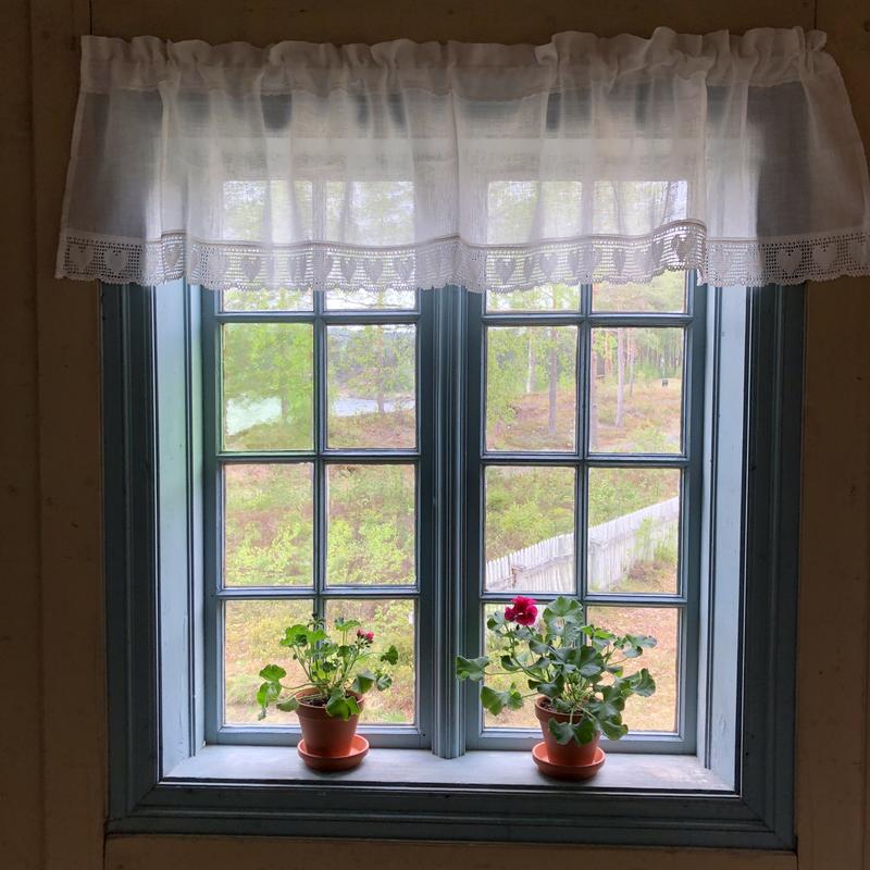 Vinduskarm med blondegardiner og røde geranium