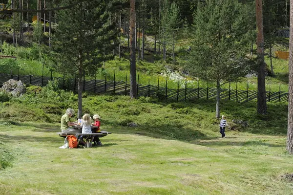Bildet som viser noen som spiser ute i muesumsparken (Foto/Photo)