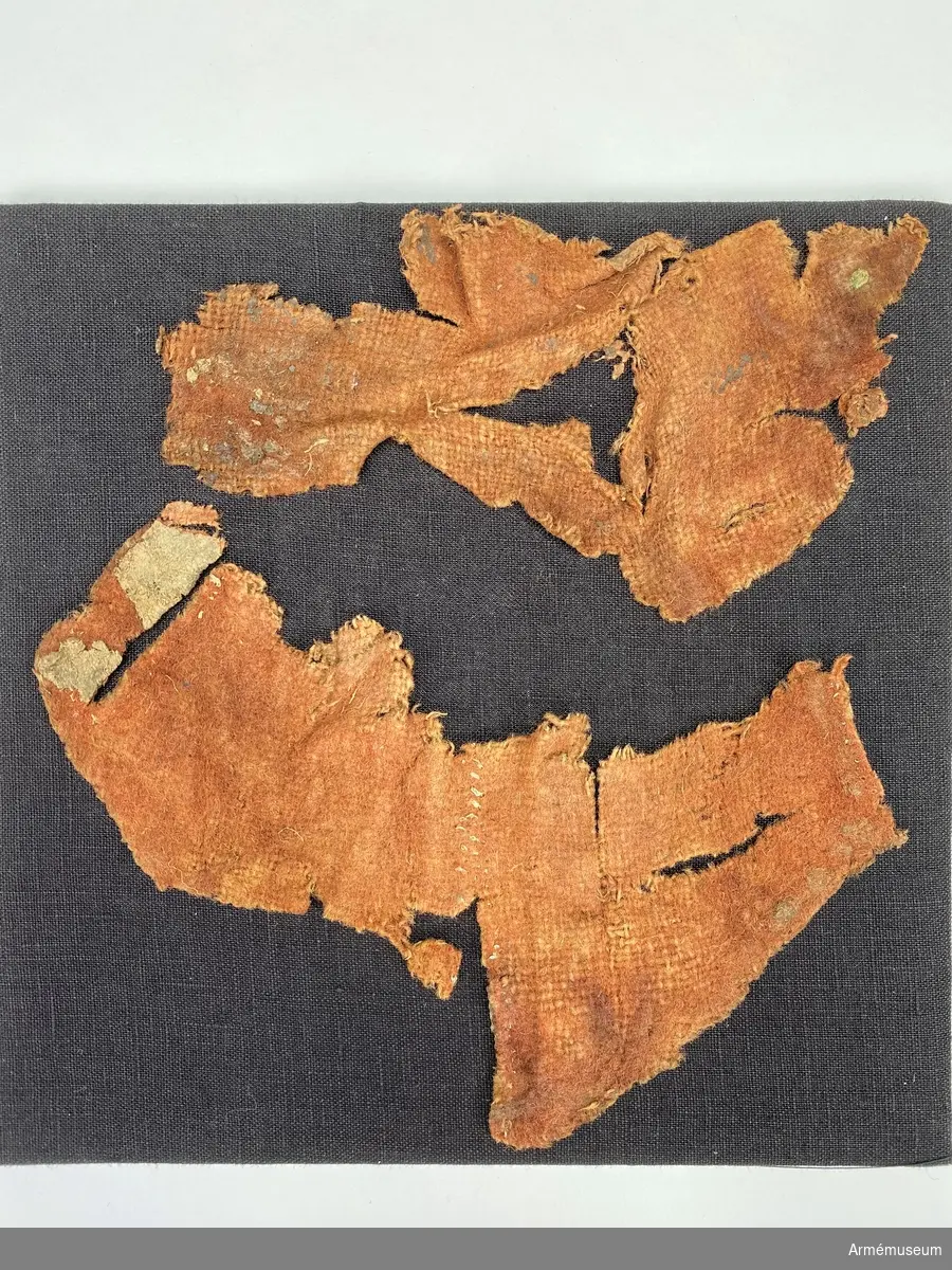 Grupp C I
Karolinerfynd från Handöl. Monterade på pappkartong och i Melinex. 

Samhörande fynd: AM.11462-3, 29660-75