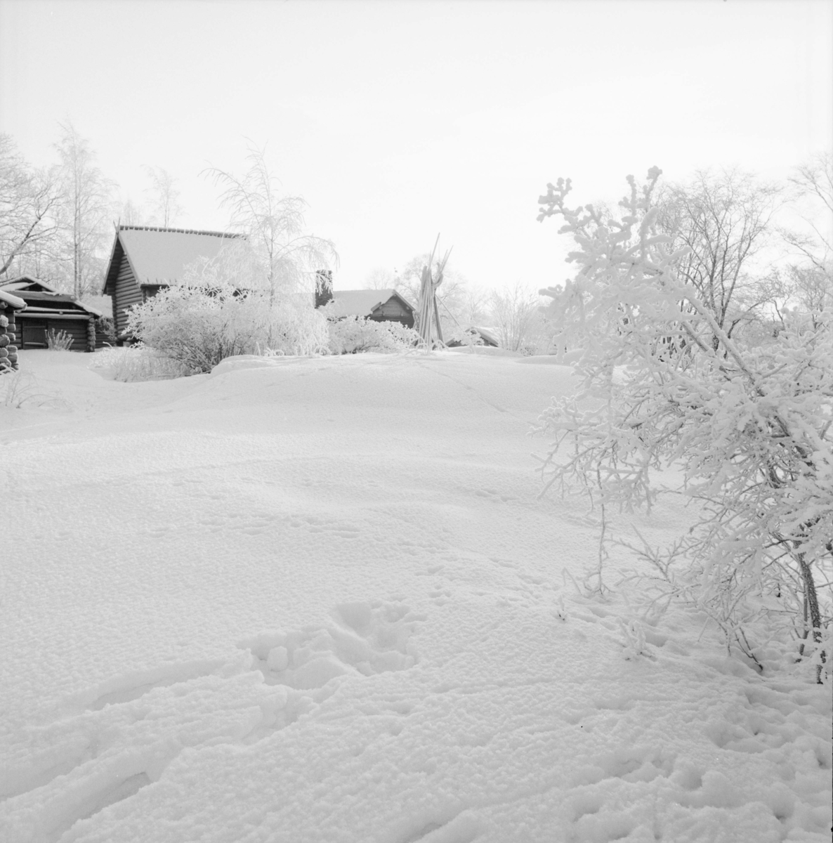 Vinterbild, Skansen.