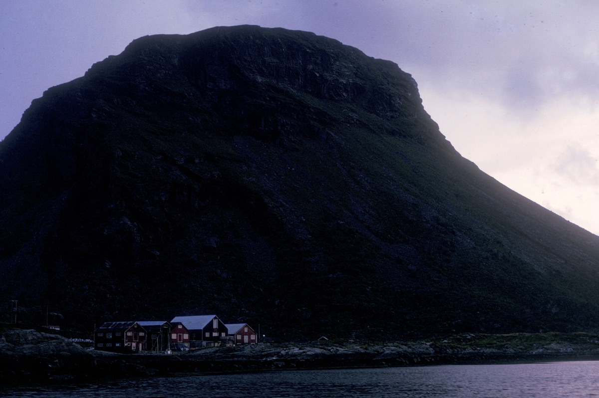Motiv fra Lovund. Bryggerekke foran et høyt fjell. Bildet er tatt i forbindelse med Lovund seminaret i 1972.