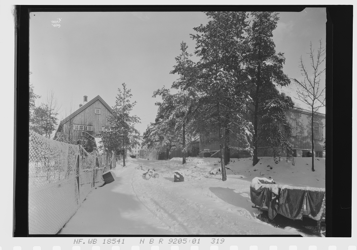 Statens lærerinneskole i husstell, Stabekk. Fotografert 1924.