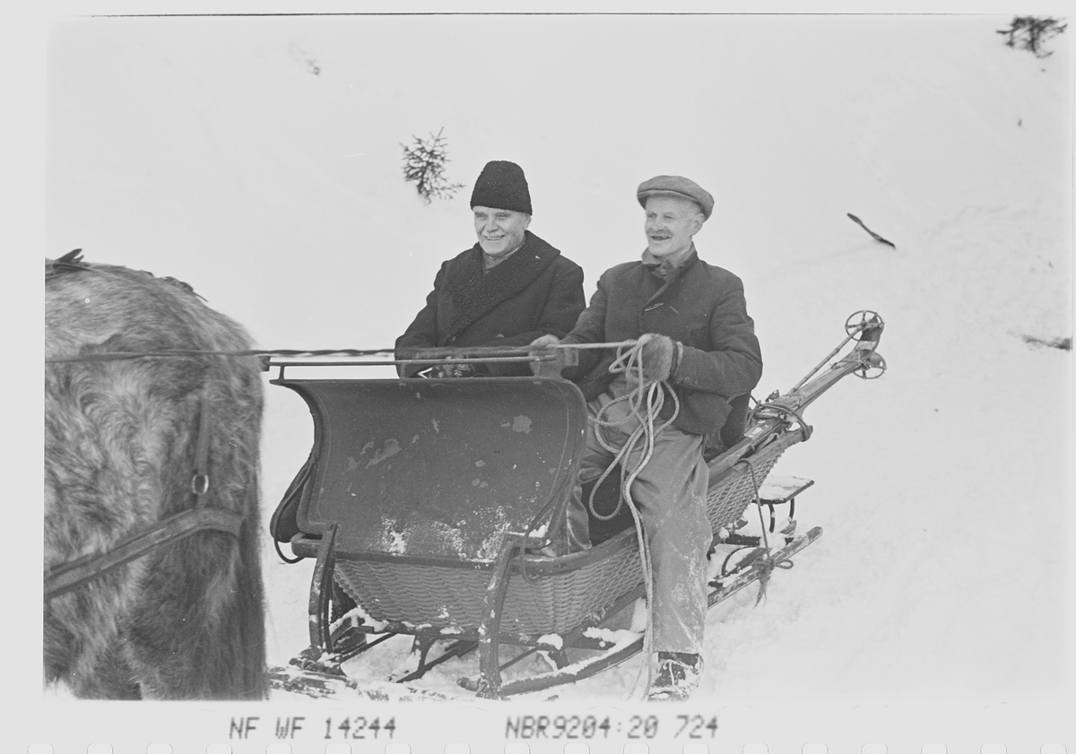 A. G. Larsen antas fraktes til Fjellhvil Hotell med hest og slede. Fotografert 1941.