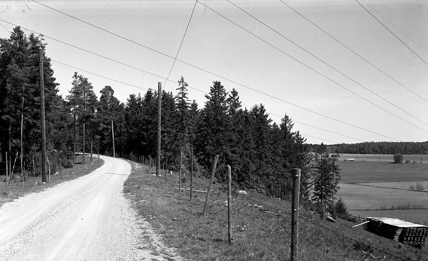Parti av Badelundaåsens landsväg vid Tibble, Västerås.