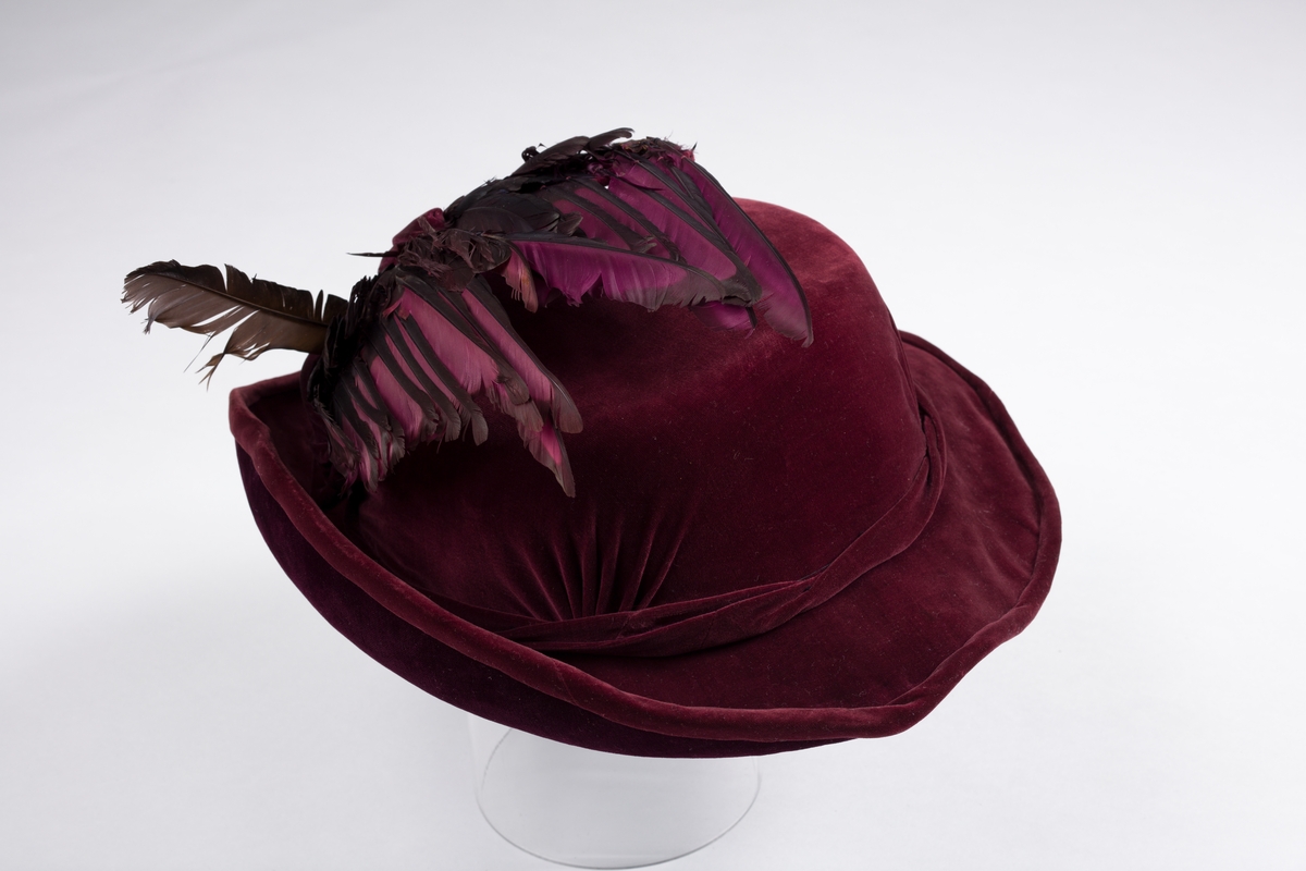 Vinrød hatt i fløyel med fiolett fløyel på brettets under side. Dekor av fjær.