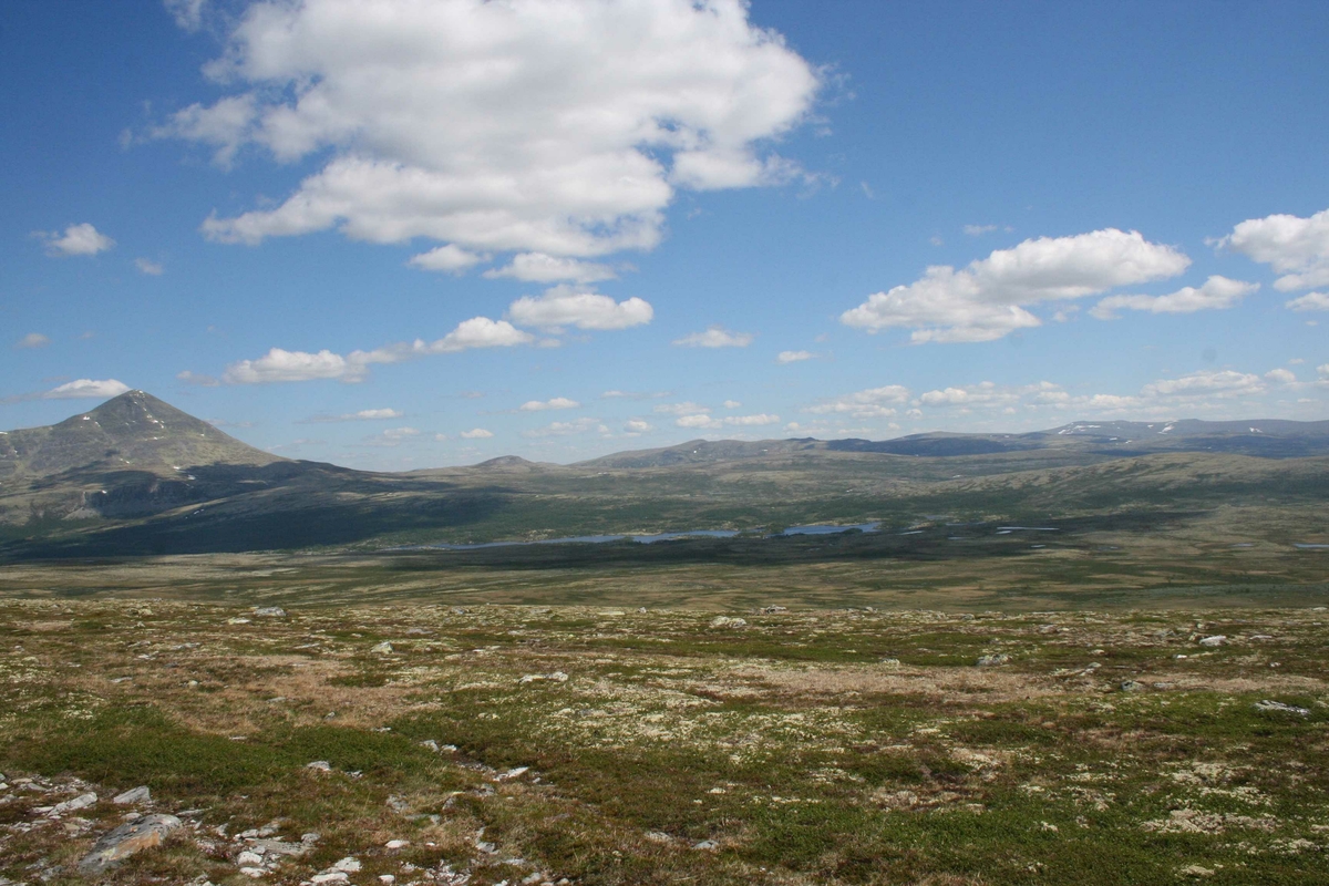 Utsikt, fjell-landskap, Holmsjøen