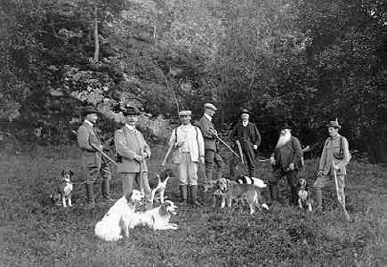 Ett jaktsällskap på sju män med hundar i en skogsglänta.