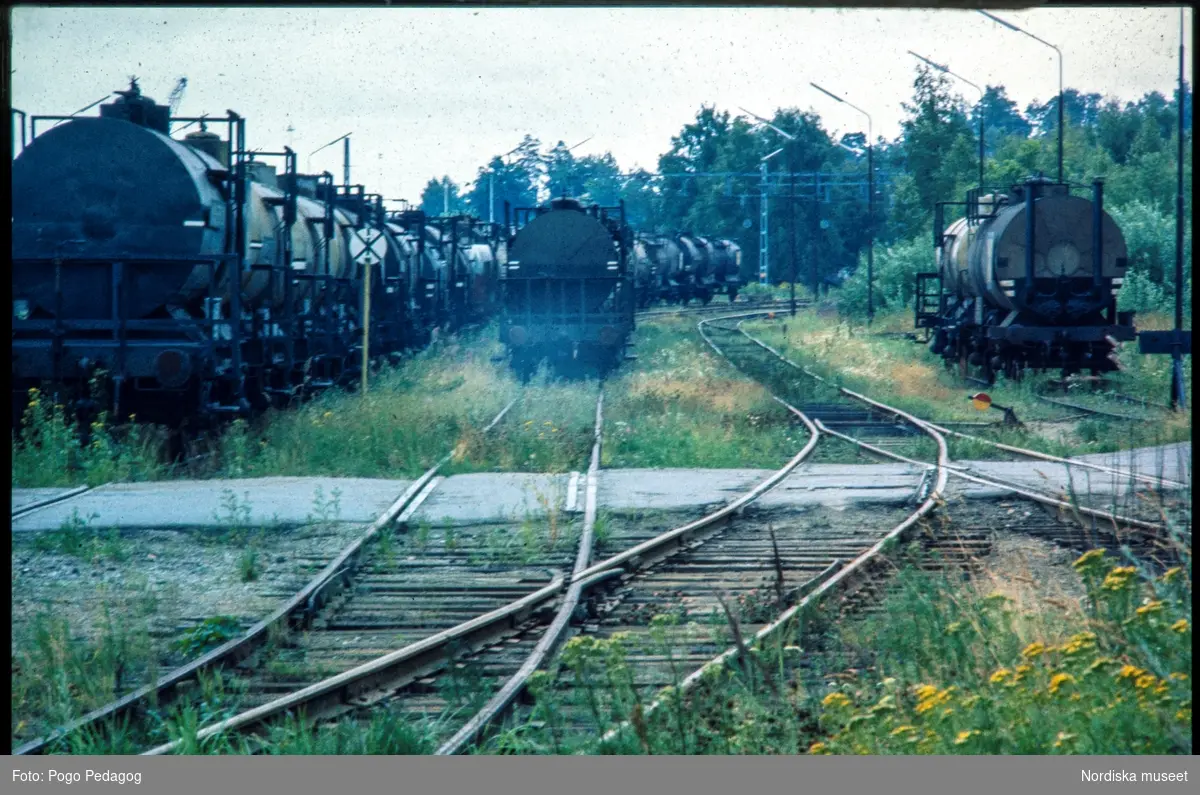 Landstransport med tåg