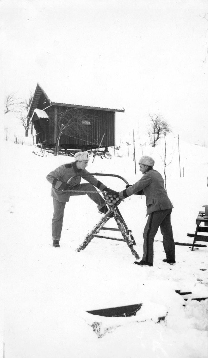 Sågning av ved, vintertid. Två frivilliga luftbevakare från landstormsregemente L 2 i Dalsland under beredskapstiden hjälps åt att såga ved.