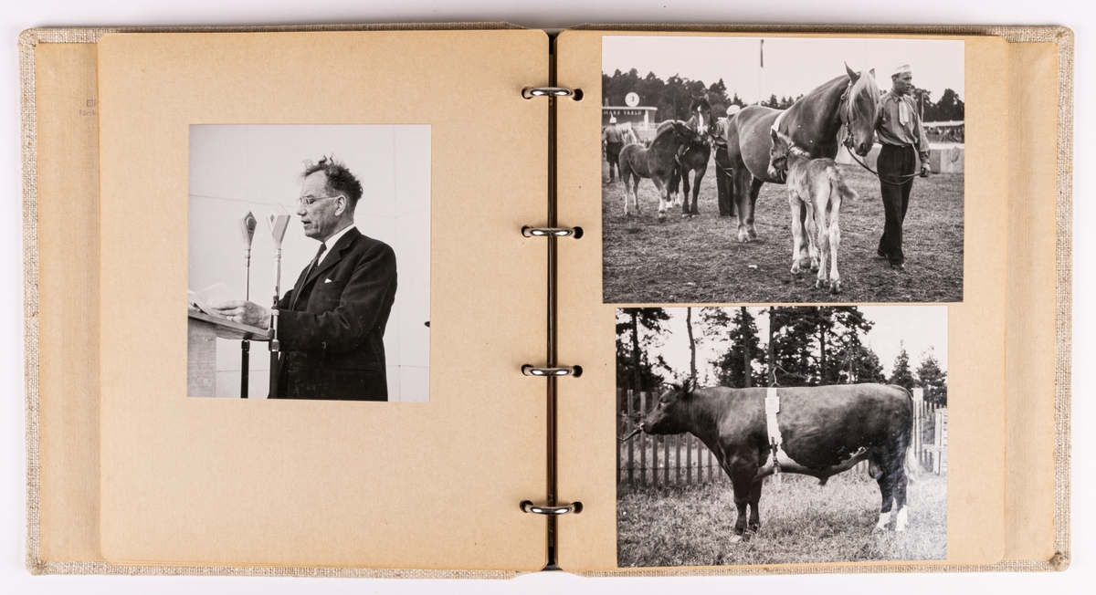 Fotoalbum innehållande fotografier från Gävleutställningen1946. Klädd med beige linneväv samt blad i kartong.