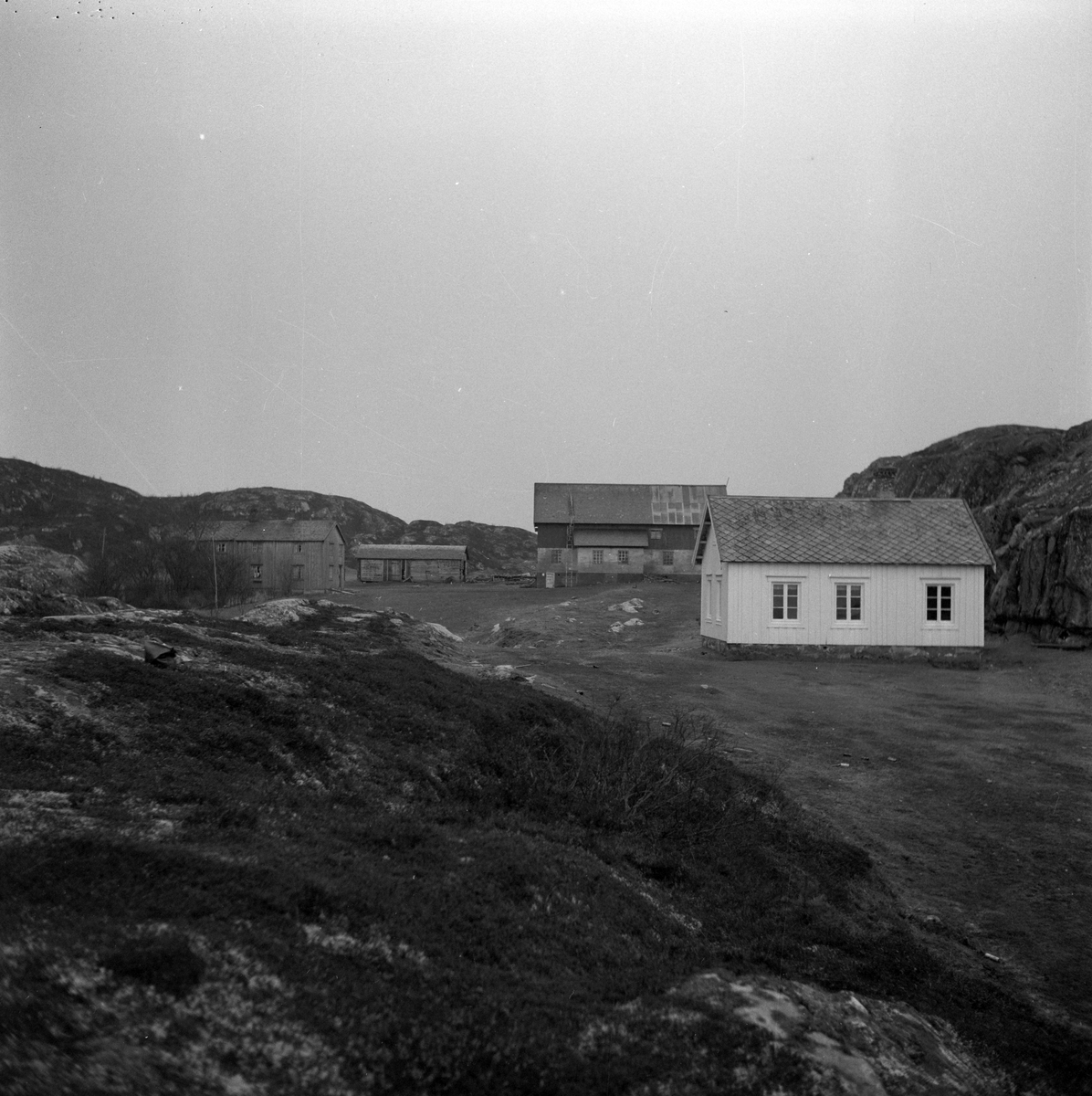 Våbenøya skole hvor Eilert Bjørkvik er landets yngste lærer
