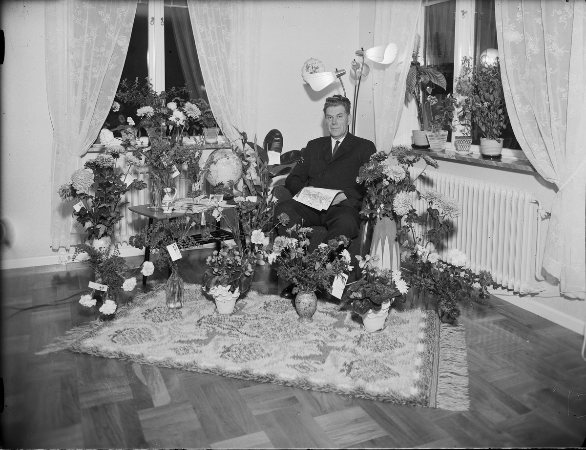 Man i hemmiljö omgiven av blommor, firar 50 årsdag, Östhammar, Uppland