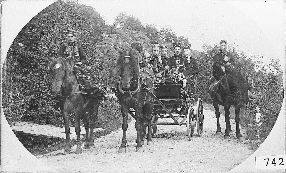 Kvinner i vogn og på hest, utkledd i gamle folkedrakter fra Sigdal-Eggedal. Sannsynligvis sommergjester, omkring 1910-20. Hester fra Sund.