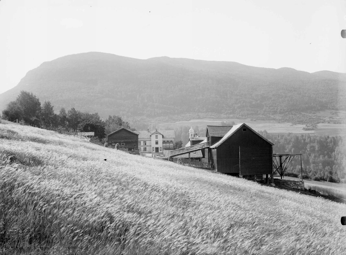 25.07.1908. Gården Bø med Kongslikampen i bakgrunnen. Bolighus, uthus, kornåker, fjellformasjoner.