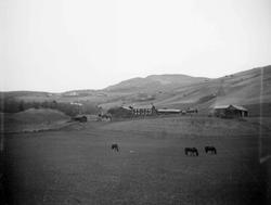 Gård, Nigard Brandvold, Nord-Fron, hester på jordet, bygning