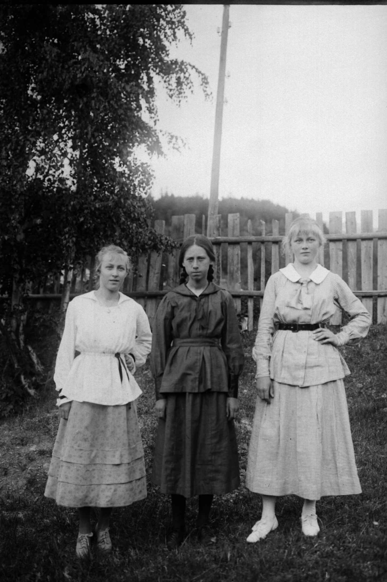 Tre unge kvinner i en hage, gjerde og et tre