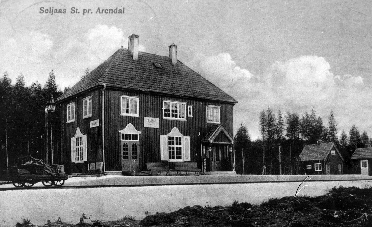 Åmlibilder samlet av Åmli historielag
Seljås jernbanestasjon