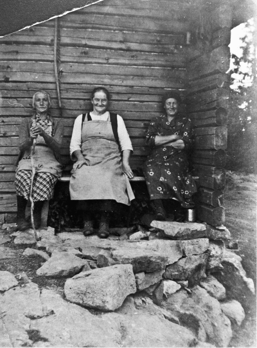 Kvinner utenfor et tømmerhus.
