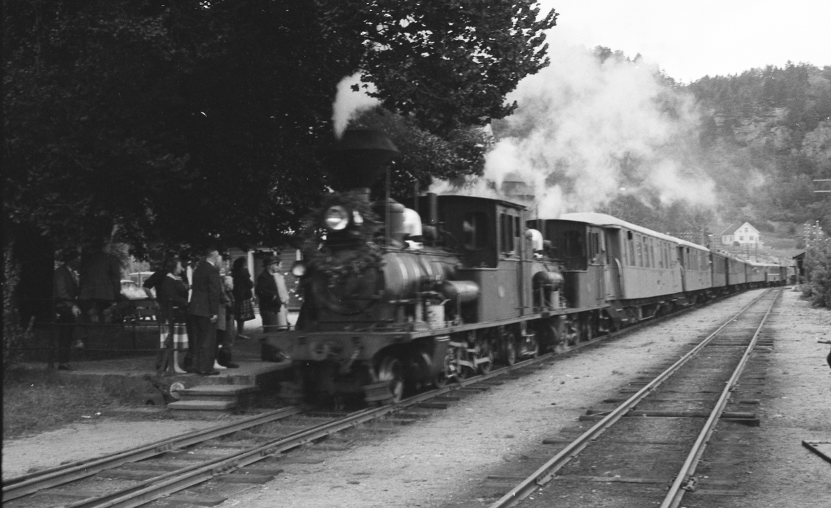 Siste minnetog på Setesdalsbanen søndag 2. september 1962. Bildet viser tog 2648 på Hægeland stasjon.