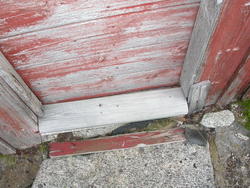 Tur til Tverrberghytta. ..(Se Romsdalsmuseets årbok 2007) ..