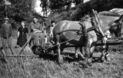 Skurdonn..Hestene er hoppa Blakka og hingsten Snorre.