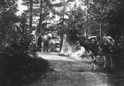 Mannen ved siden av Bjørnstjerne er Anders Bugten. Han er en
