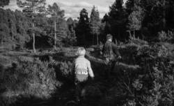 ..(Negativrull merket "August 1961. ?, bryllup Jon og Eva").