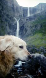 Sigmund Kvaløy Setreng og de andre Mardøla-aksjonistene sett