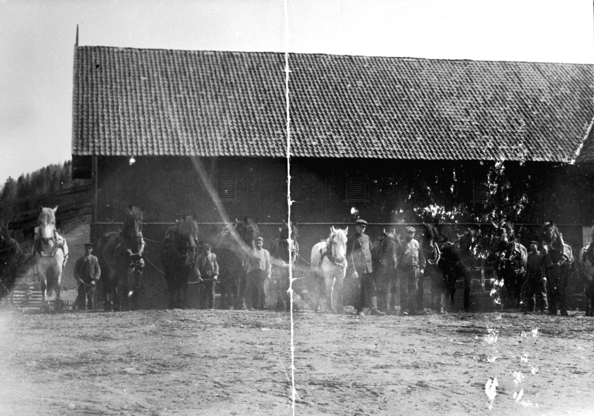 Hester og arbeidere oppstilt for stallåven på Skredshoel, Ringsaker.