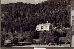 Hus, bygning, skule, tre, hester, mann, postkort. Husmorskul