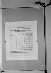 Statistikk over invaliditetsgraden for silikotikere 1964.