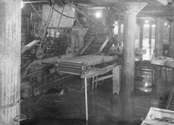 Nekolai Dahl, produksjonsutstr (eksport av sild og fisk)