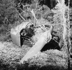 Flyulykke i Ålen