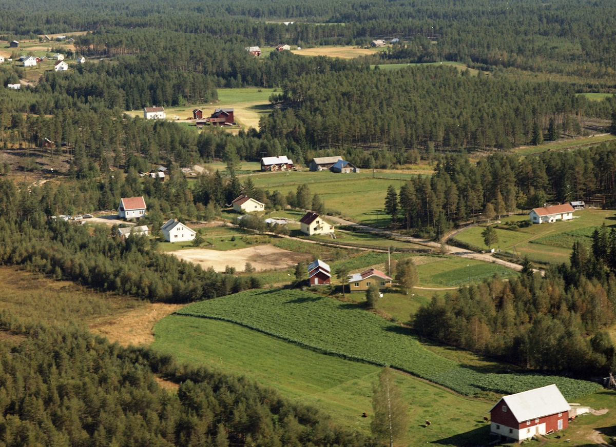 Nyheim, Åshaug, Bjørnstad, Østgård