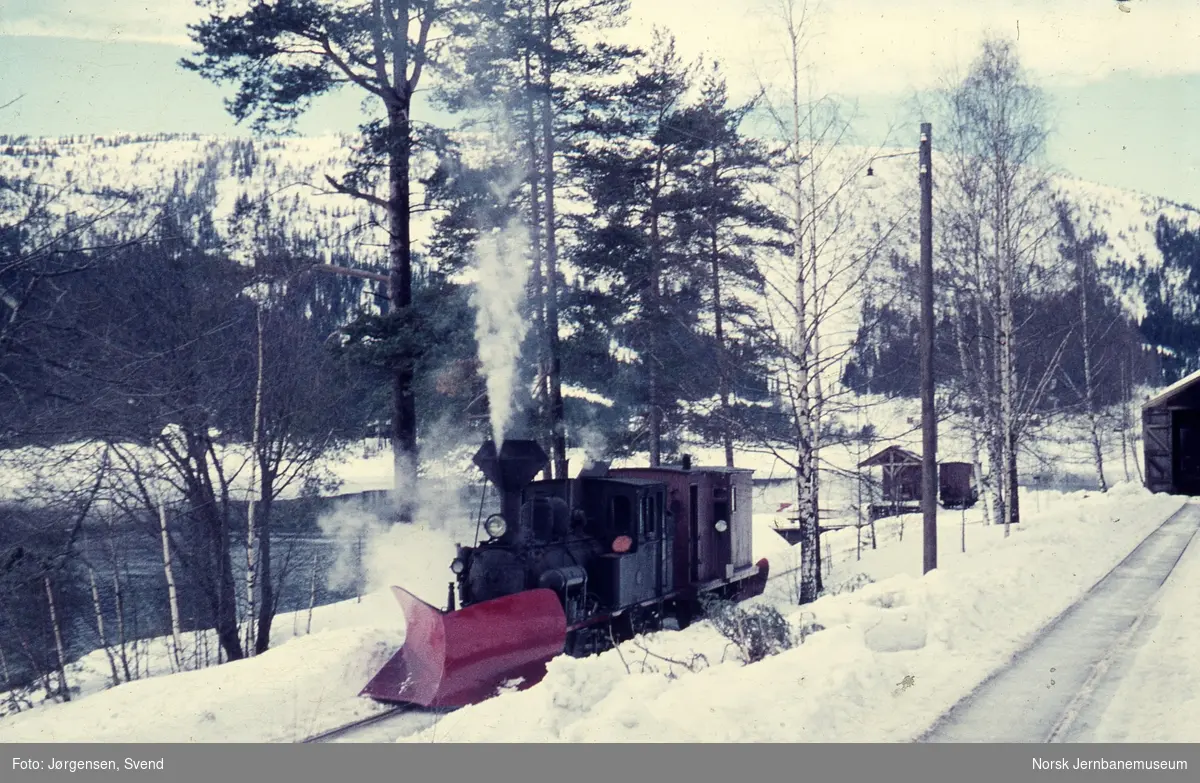 Damplokomotiv nr. 5 med sporrenser på havnesporet på Byglandsfjord stasjon