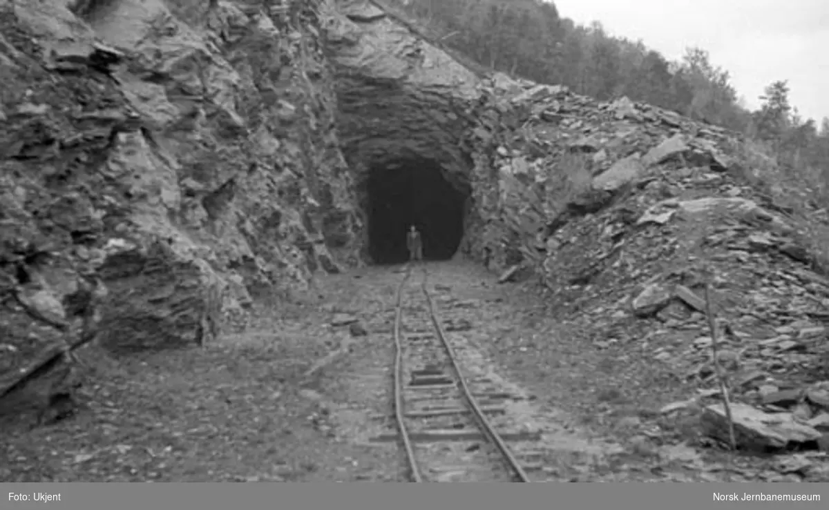 Nordlandsbaneanlegget : nordre innslag til Kleivtoppen tunnel