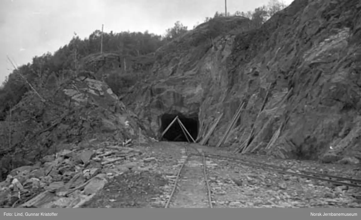 Nordlandsbaneanlegget : østre innslag til Vikan tunnel
