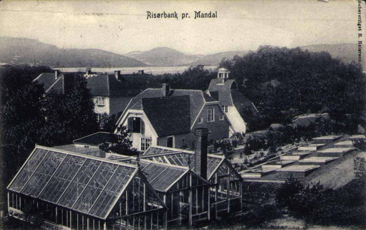 Postkort. Drivhus ligger i hagen foran flere hus. Stemplet 19.09.1907. "Risørbank pr. Mandal"