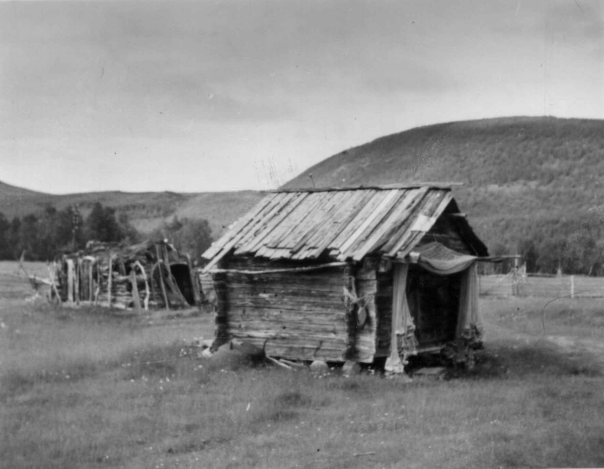 Et stabbur og i bakgrunnen et gammelt sauefjøs, Levajokgiedde 1952.