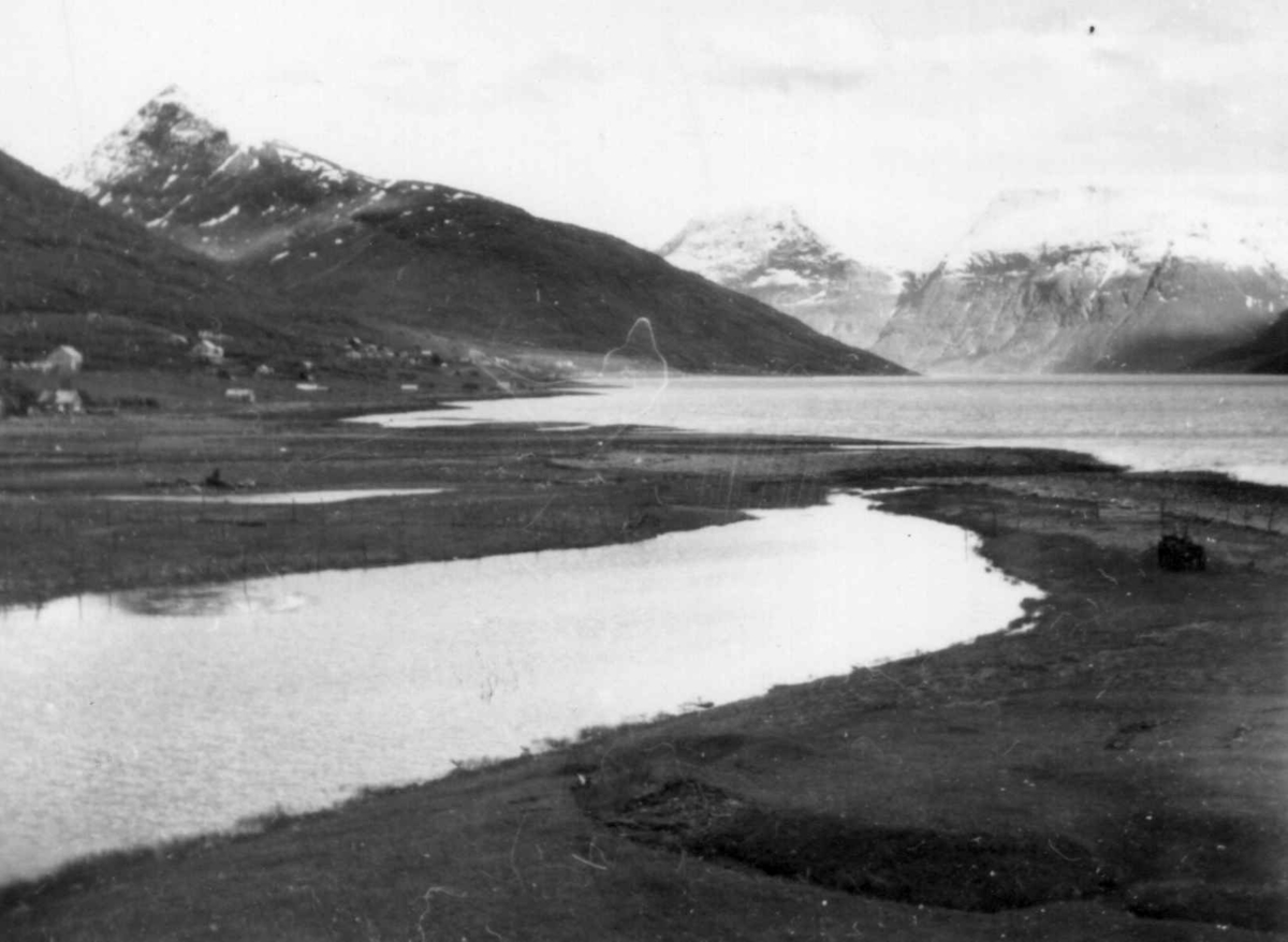 Fra Olderdalen, utsikt fra Kåfjorden utover fjorden, 1948.