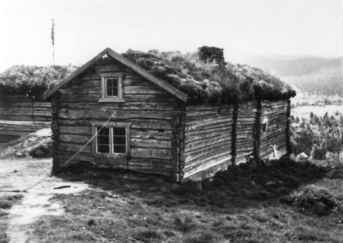 Smebakken, Rennebu, Sør-Trøndelag 1953. Sauehus/stall med tilbygd eldhus