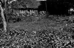 Stumberg gård, Idd, Halden, Østfold.Fra Storgårdsundersøkel