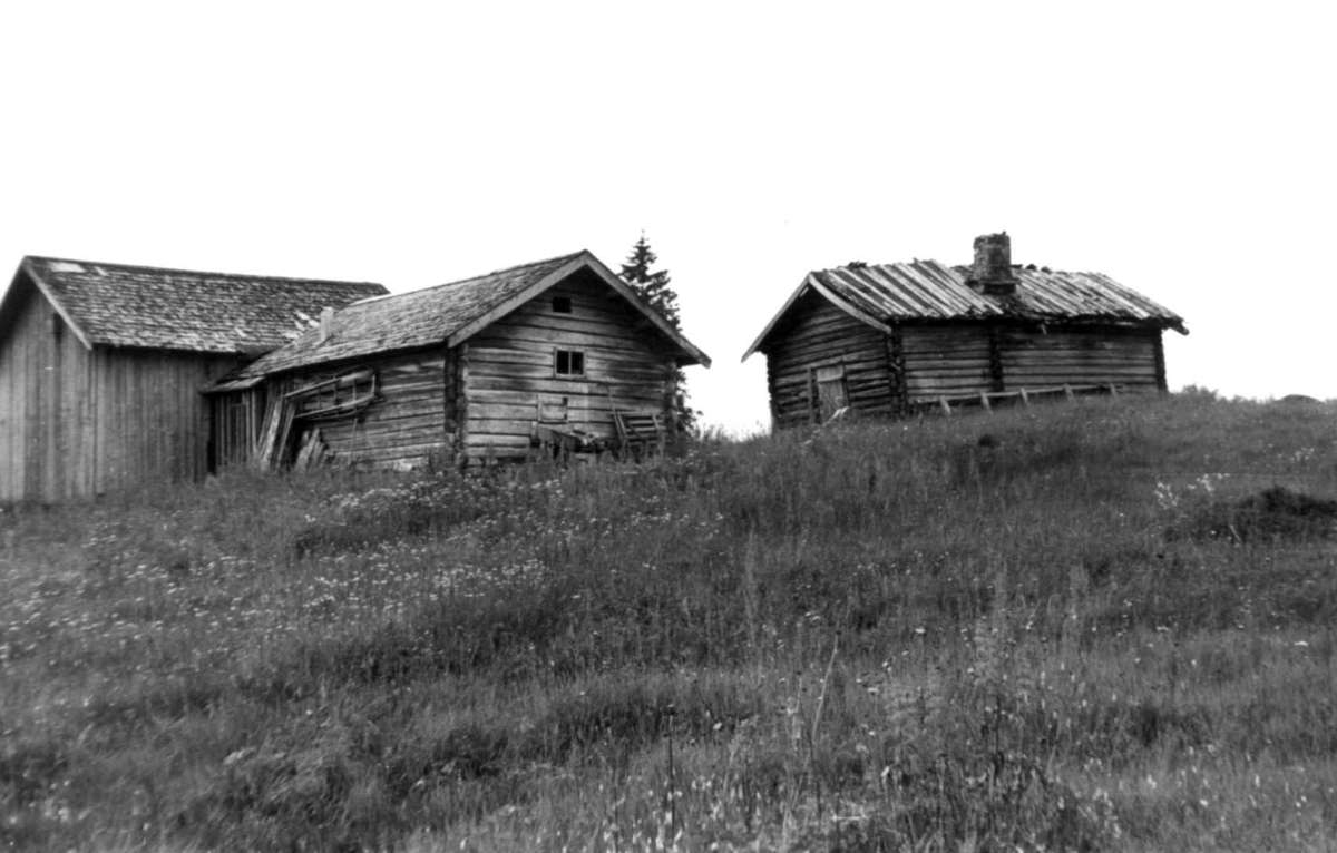 Haugen, Trysil, Hedmark. Gamlestua fra 1847, fjøs og låve