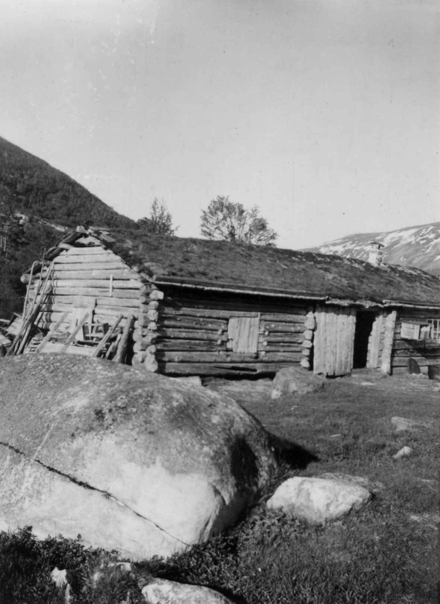 Elvemothei