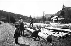 Tømmerfløting i Haglebuelva 1940. Søstrene Arentz står og se