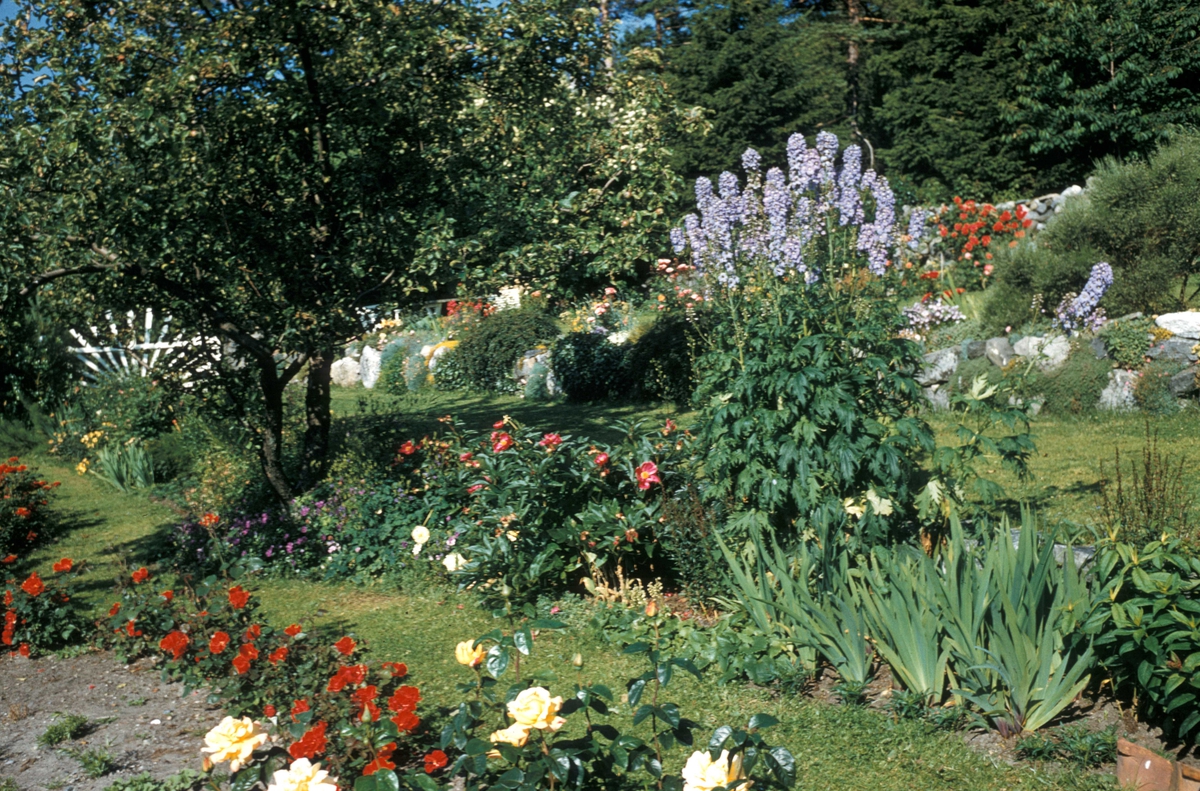"Erigerons have". Solporten tegnet av Harald Thaulow etter et besøk på Åkerø slott.