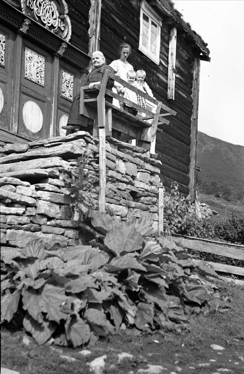 Inngangsparti på hovedbygning, Sætra, Lønset, Oppdal, Sør-Trøndelag. Familiegruppe med tre generasjoner samlet på trappen. Fotografert 1940. 