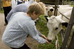 Levendegjøring på museum.Ferieskolen uke 32 i 2007. Dyrene 