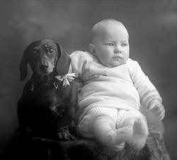 Portrett, spebarn og dachshund.